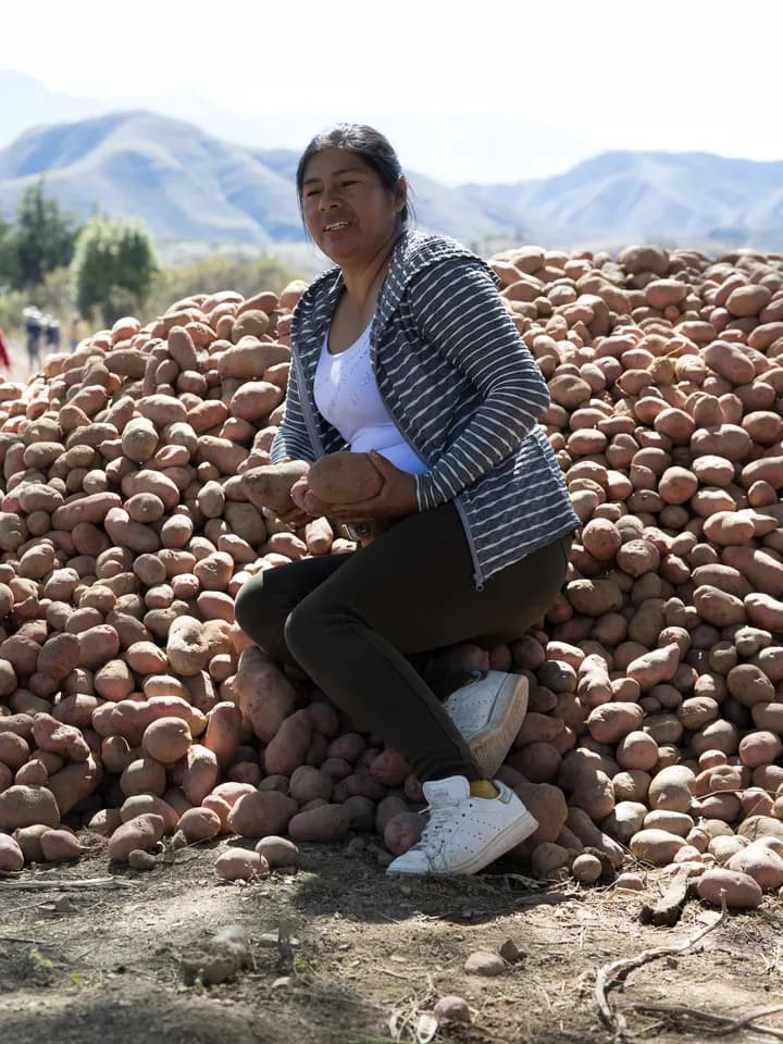 Productora junto a la cosecha de papa recién seleccionada