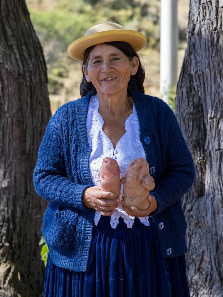 Productora sosteniendo papas de su cosecha